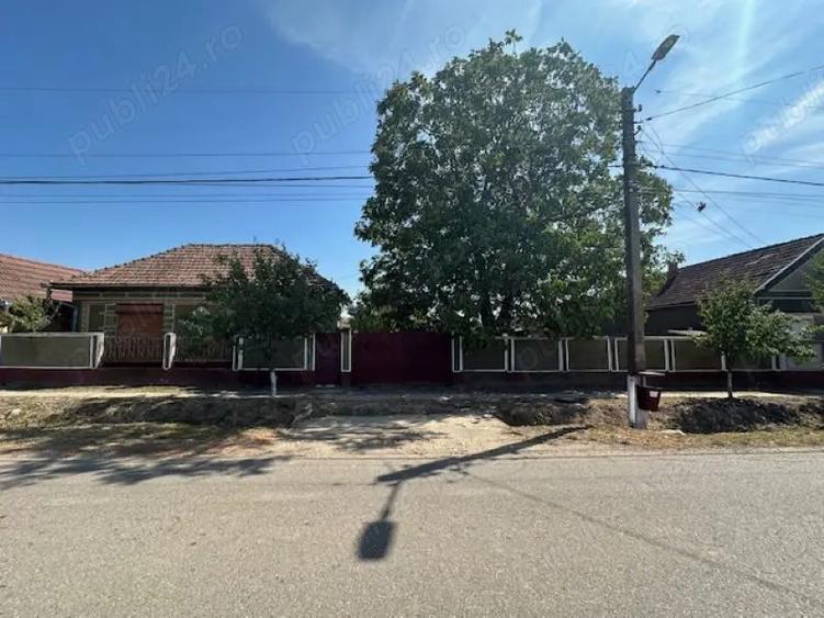 Casa cu teren de 6060 mp | LOC. BICACI | BIHOR - 1