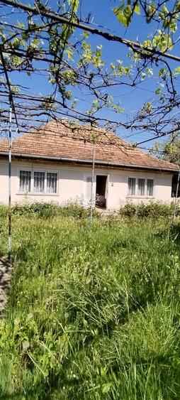 Vand casa cu gradina la Bode?tii de sus,str.Ciresului nr. 12. - 10