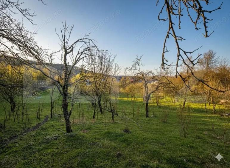 Teren intravilan, 9066 mp, zona Aninoasa - 9