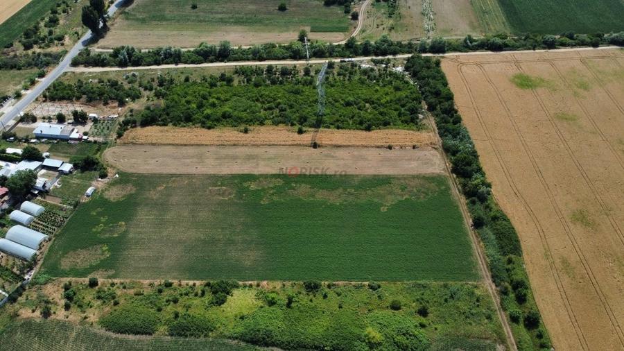 Teren Constructii Intravilan 4750mp SABARENI - 0% COMISION - 6