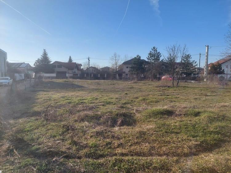 1570 mp Teren de vanzare in Mogosoaia - 8