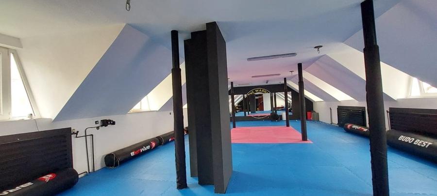 Imobilstar inchiriaza imobil in Sangeorgiu de Mures - 2