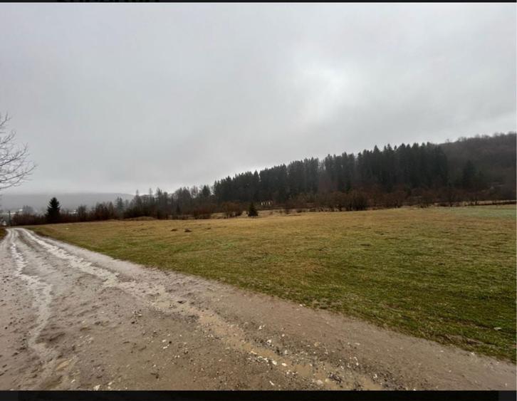 Teren extravilan,4150 mp,zona de cabane Paltinoasa, Suceava - 3