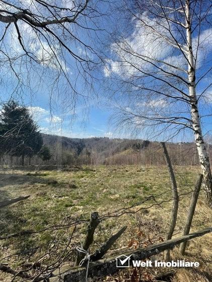 Teren cu panorama pentru cabana, Risca, Valea Fericirii - 2