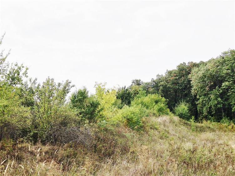 Teren pentru casa cu vedere frumoasa - 4