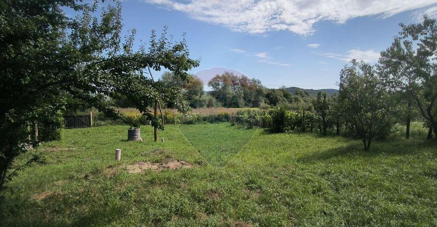 Casa de vacan?a in sat sasesc, Moarda? jude?u... - 9