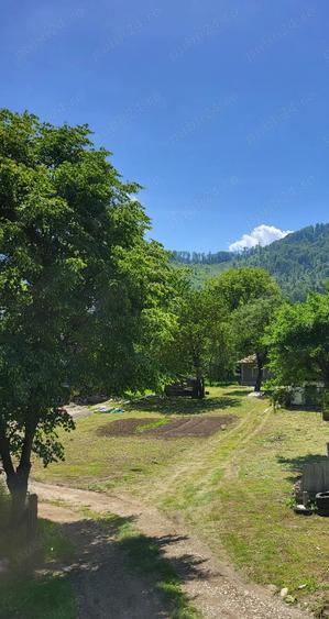 Teren si casa Sat Tarcau zona Garii - 9