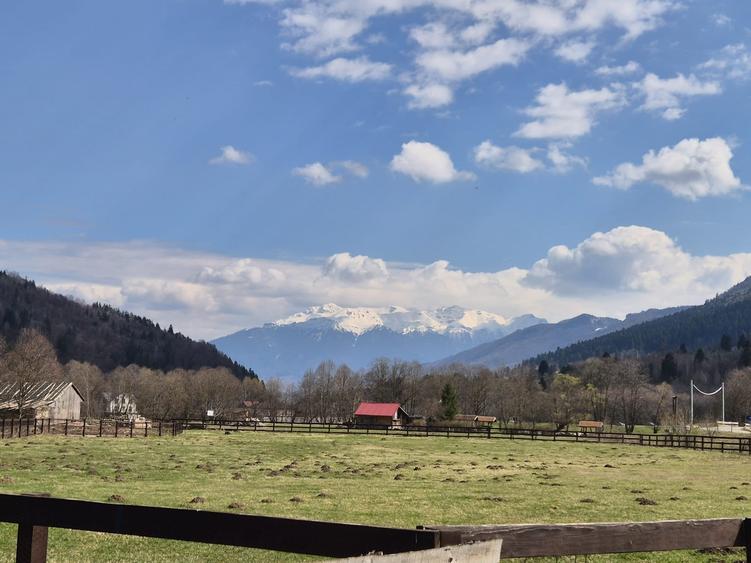 Teren superb intravilan 1200 mp, Plaiul Foii, vedere la munte - 14