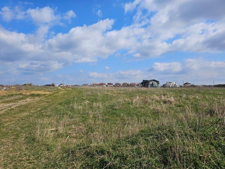 Mogosoaia, teren intravilan 499 mp cu PUZ aprobat, P+2+M - 1