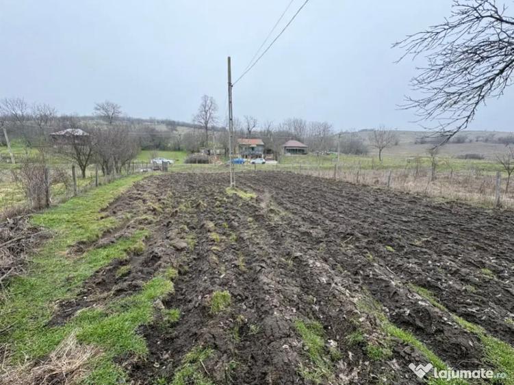 Teren 2.038 mp + Casa 50 mp de vanzare Sat Luncsoru, C - 16