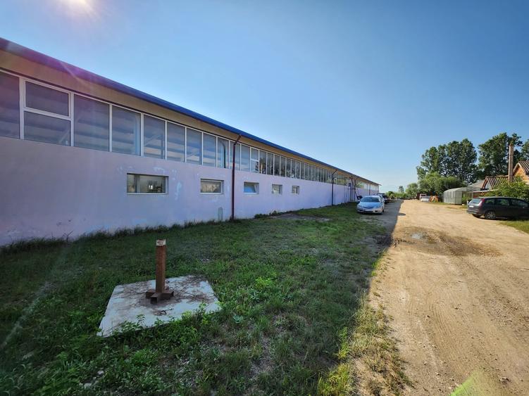 Hala 998 mp cu teren 3086 mp situata in DN13 Halchiu spre Feldioara! - 3