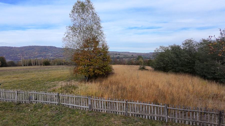 Comision 0%, teren extravilan 12497 mp Sinca Noua - 29