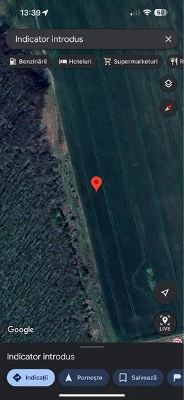 Teren Dragomiresti DEAL - 3