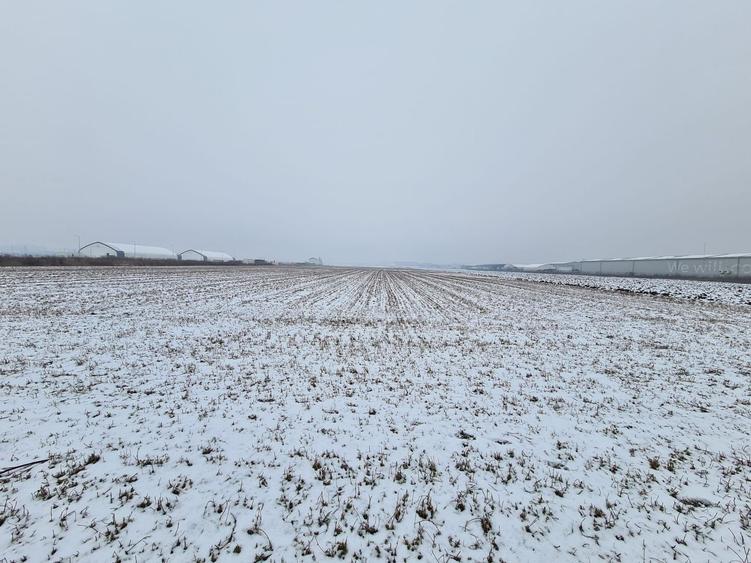 Teren industrial de vanzare in Stupini - 2