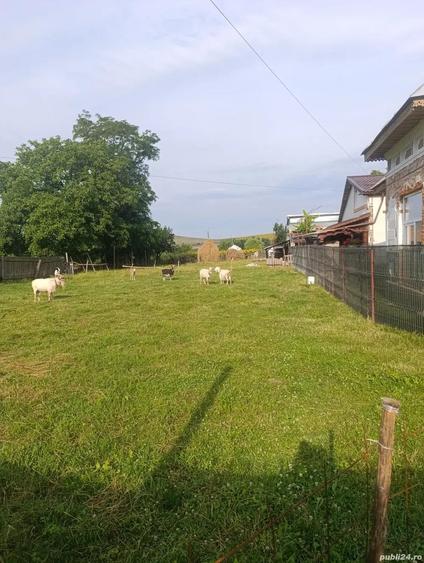 Teren intravilan, Carligi,com. Stefan cel Mare - 2