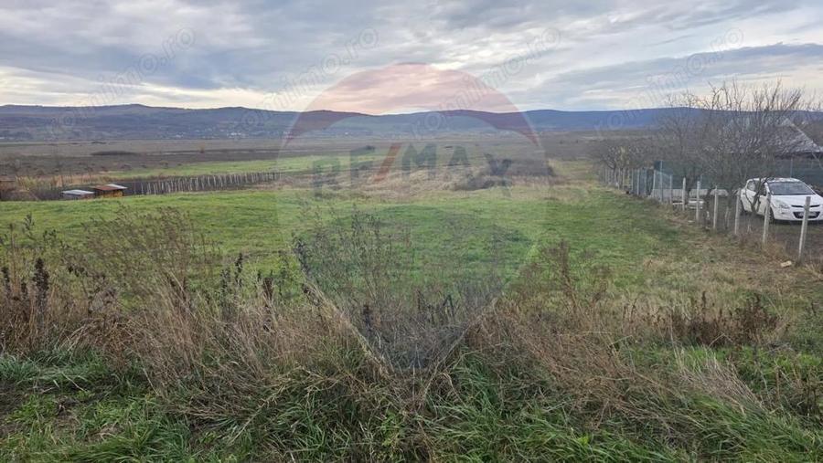 Teren intravilan si extravilan 8,282mp oras Negresti, judetul Vaslui - 6