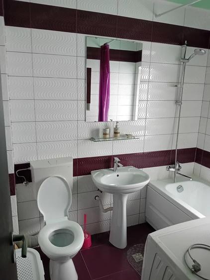 apartament doua camere de inchiriat - 3