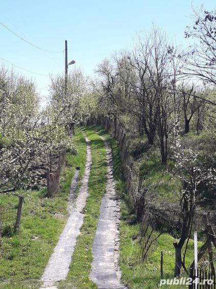 Casa de vanzare in comuna Rosia de Amaradia jud Gorj - 8
