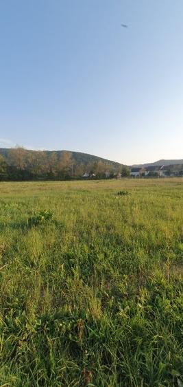 5200 sau 2600 mp teren vanzare,direct proprietar, parcelabil, apropiere Arinis - 10