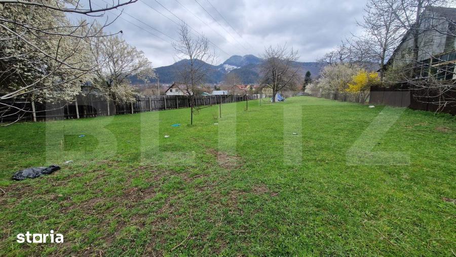Teren intravilan cu 2 deschideri la drum 35 m, 4300 mp, Baciu Sacele - - 1