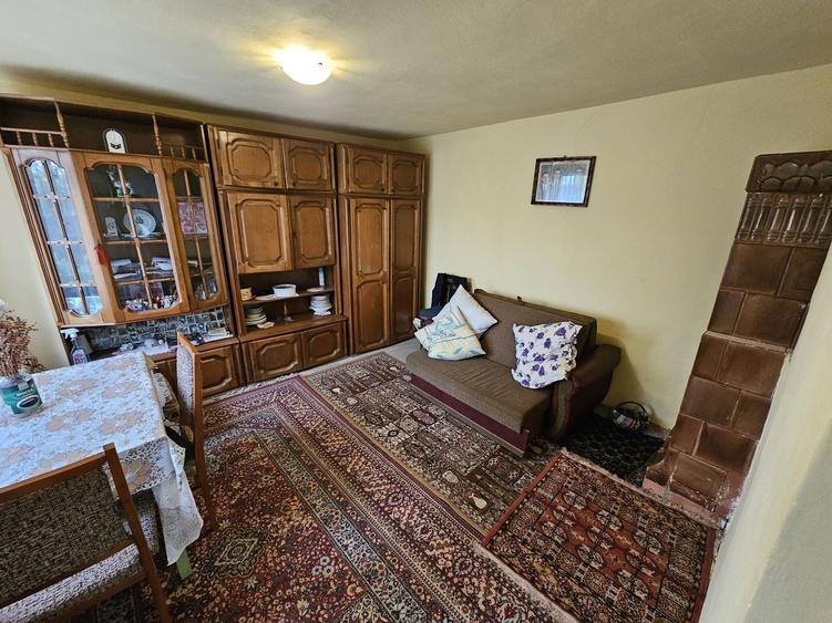 Casa 6 camere + anexa, teren 2000 mp, pozitie centrala Visina Olt 32500 - 4