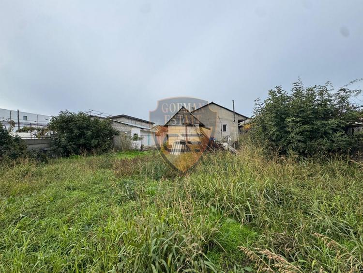 Casa 5 camere, PALAZU MARE,  204 mp cu teren 904 mp - 1