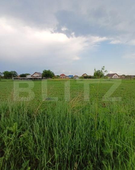 Teren cadastrat, cu CF, 600 mp, in zona Poiana - 5