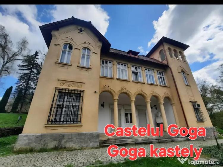 Teren de vanzare 26403mp - 7