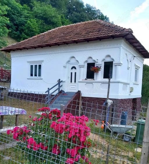 Vand casa la munte ! - 1