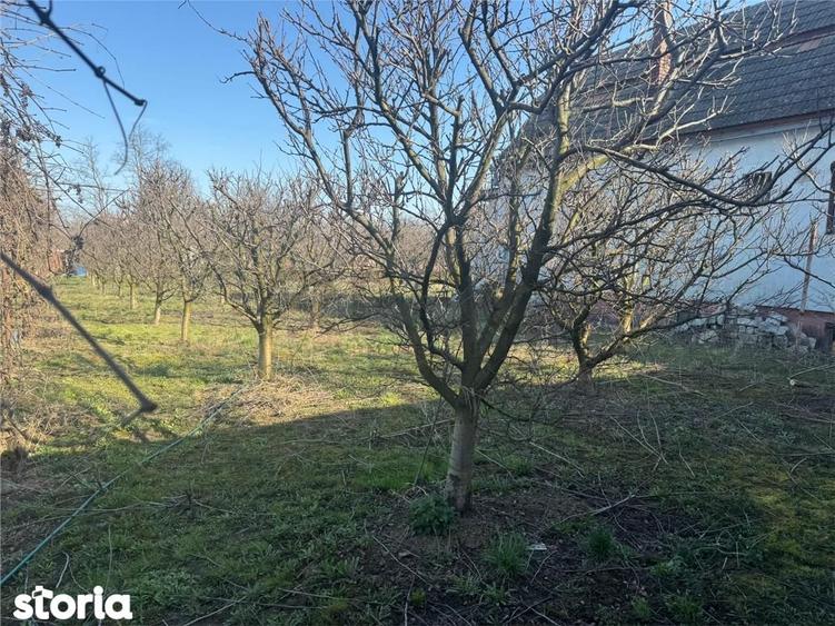 RECO Casa de vanzare in Inand - 5