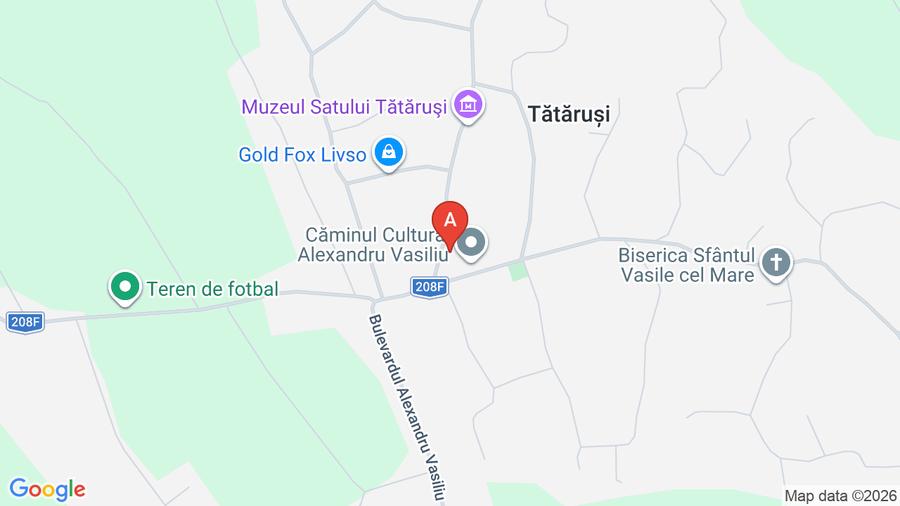 Teren Construcții intravilan de 20000 mp, în Tătăruși