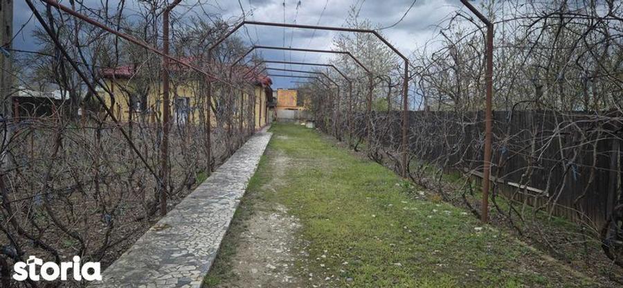 Teren de 6500 mp, în Adunații-Copăceni