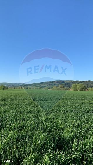 Teren de 30281 mp, în Bod