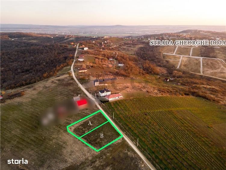 RECO Teren intravilan in Saldabagiu de Munte - 13