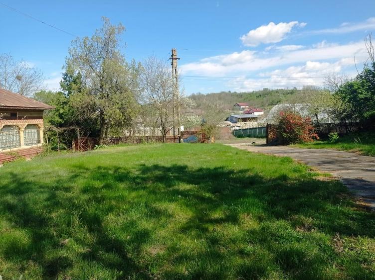 Giurgiu, vila cu padure proprie, izvor si iaz pe 19.900 mp teren - 7
