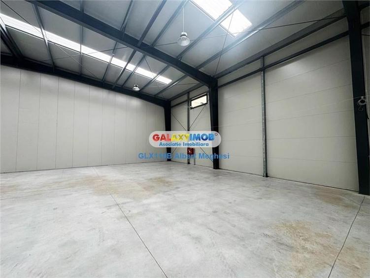 Vanzare Spatiu Depozitare/Hala Centura-Mogosoaia - 9