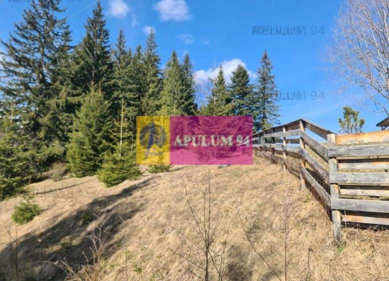 Teren de v&acirc;nzare &icirc;n Predeal - Zona Forban - 1
