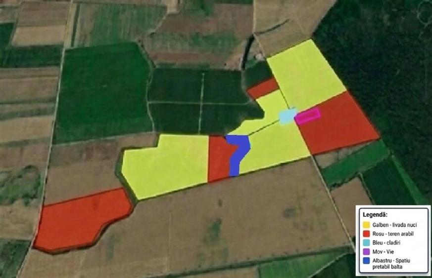 Livadă de nuc: Afacere agricolă cu potențial ridicat – 74,9 ha irigate - 1