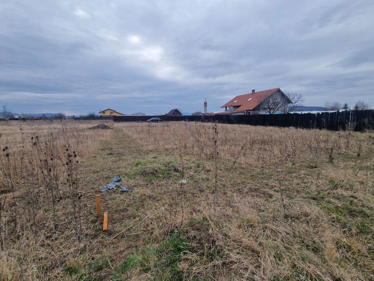 Teren Harman 1000mp - 1