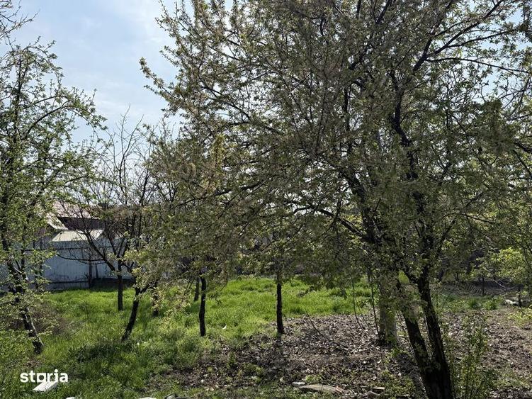 Casa de vanzare in Nadlac - 2