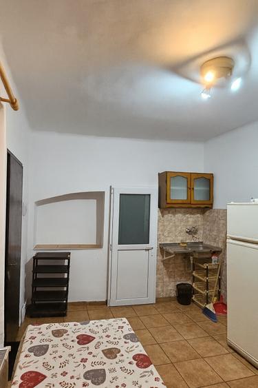 Casa Individuala 40 mp Bartolomeu - 3