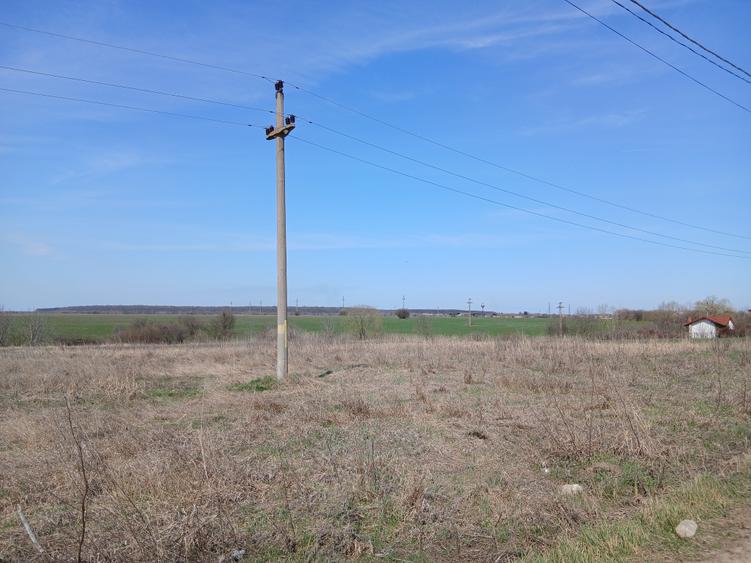 Teren intravilan 16400 mp, Balotesti-Saftica - 50 euro/m2 - 4