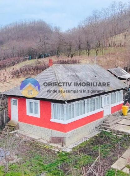 2 CASE de POVESTE intr-o zona linistita + teren 3600 mp - COSTIȘA - 16