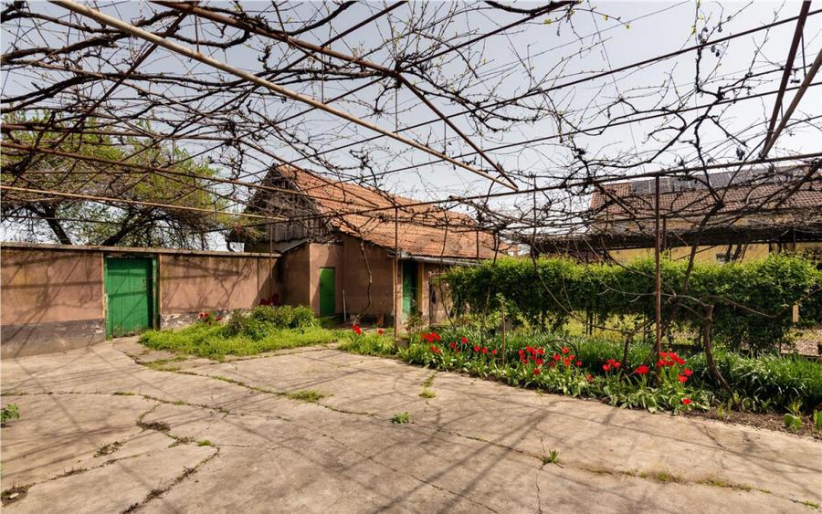 RECO casa cu teren generos in Santion - 11