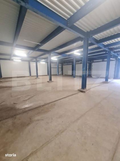 Hala open space, 400 mp, inaltime 4,5 m, Luna de Sus - 4