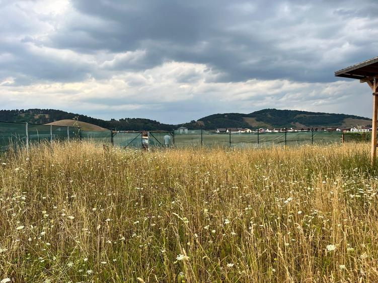 Vand teren intravilan - 515 mp in Sanpetru, Str. Catinei - 4