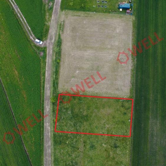 Teren intravilan de vânzare în Dobolii de Jos! - 2