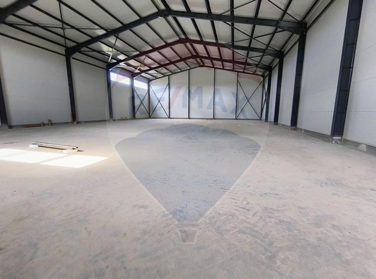 Spațiu industrial hala depozit zona Theodor Pallady - 3