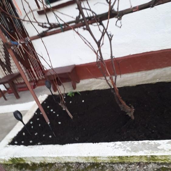 Casă cu panoramă la pădure, aproape de lacul de agrement - 2