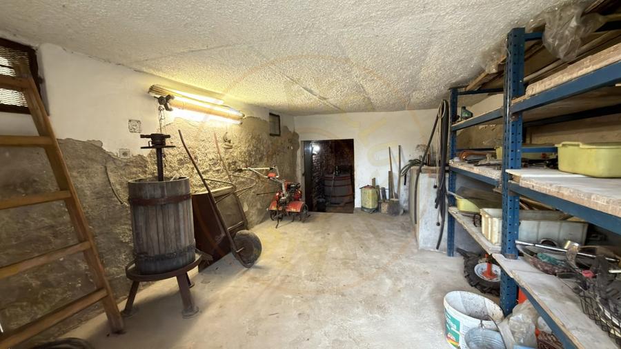 De vânzare 2 Case de vinificație cu Teren 4108 mp - Grădina Viilor - Carei - 8